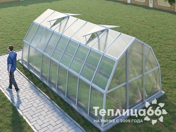 Теплица Рада Рица из поликарбоната, 3x6 метров, белая